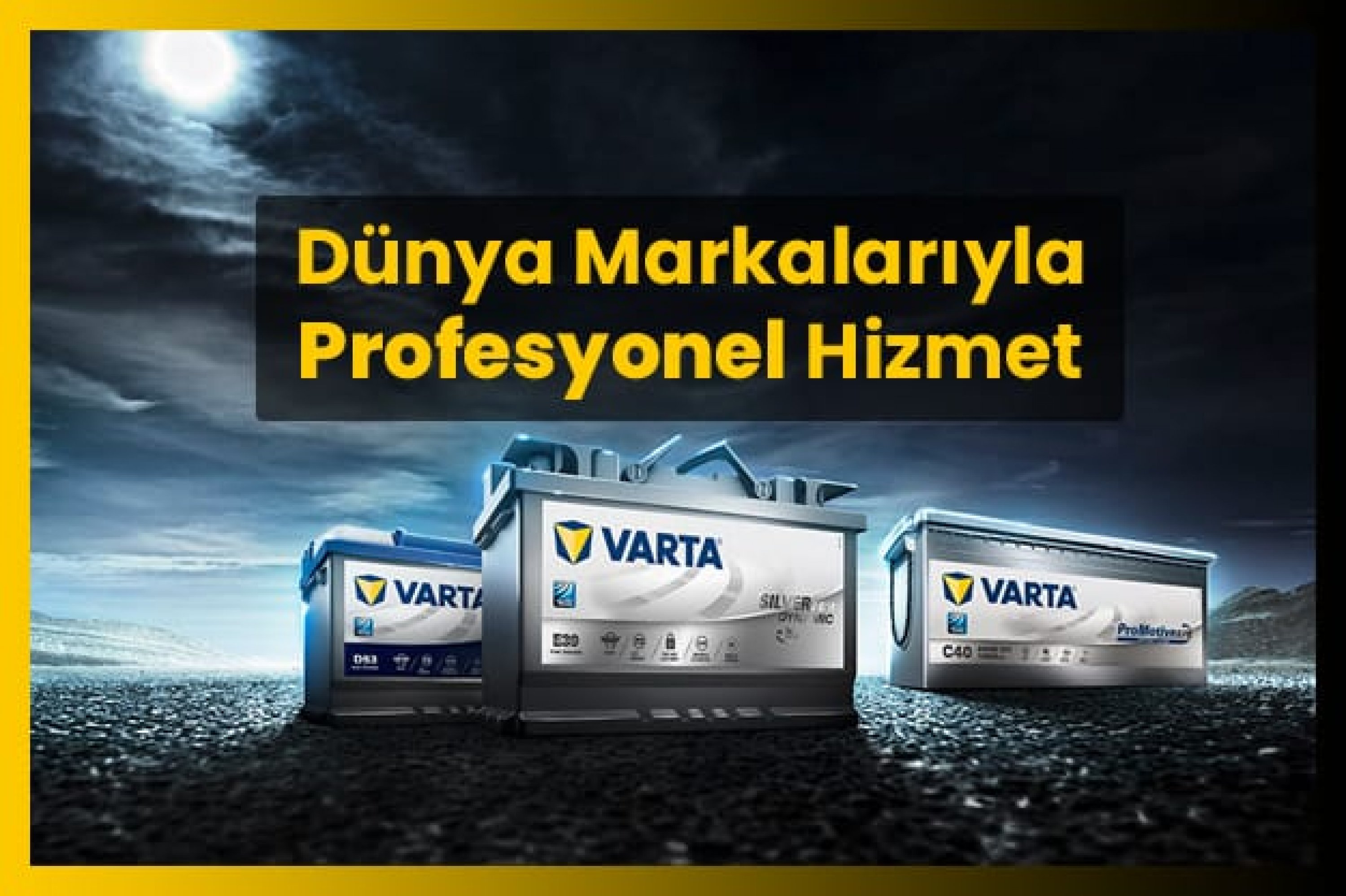 PROFESYONEL HİZMET